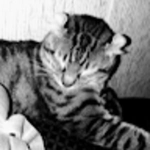 Meet your Posher, Janice